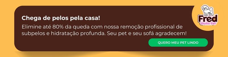 Fale com a Fred Studio Pet sobre hospedagem pet para seu cão