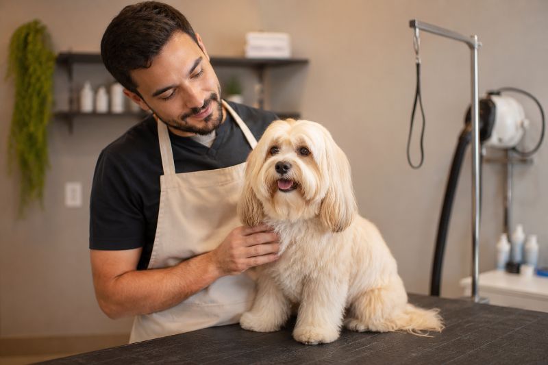 Profissional de pet shop em Guarulhos cuidando de cão com atenção durante atendimento de banho e tosa