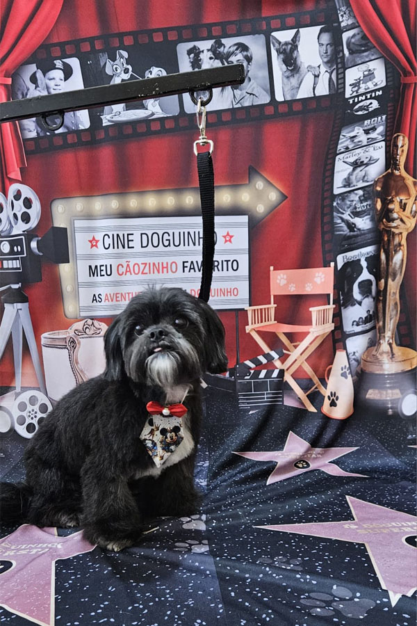 Banho e Tosa em Guarulhos com Leva e Traz | Fred Studio Pet Banho e Tosa em Guarulhos com Leva e Traz | Fred Studio Pet