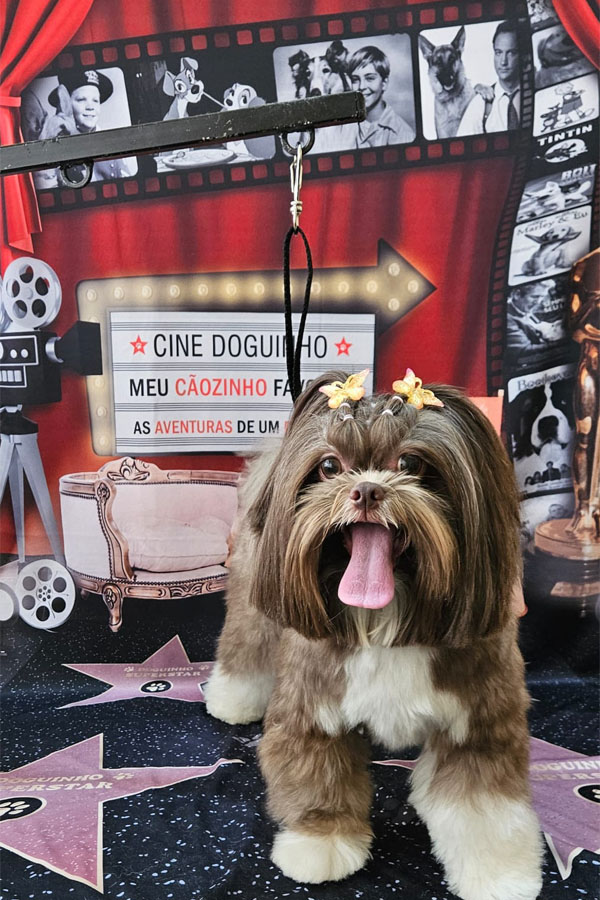 Banho e Tosa em Guarulhos com Leva e Traz | Fred Studio Pet Banho e Tosa em Guarulhos com Leva e Traz | Fred Studio Pet